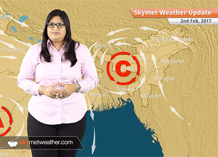 Weather Forecast for Feb 2: Dry weather in India, fog in Delhi, Haryana, Punjab, UP