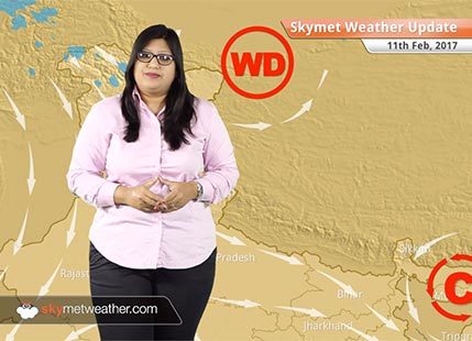 Weather Forecast for Feb 11: Pleasant weather in North India, Rain in East MP, Vidarbha