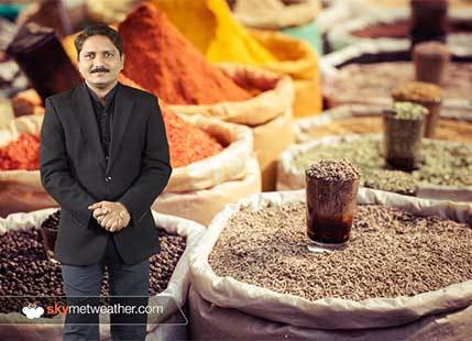 Sharp rise in cumin seed production in India