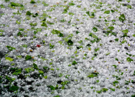 Hail storm in Odisha