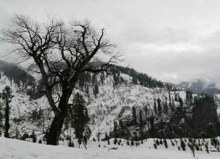 Rain and snowfall continue over hills of North India