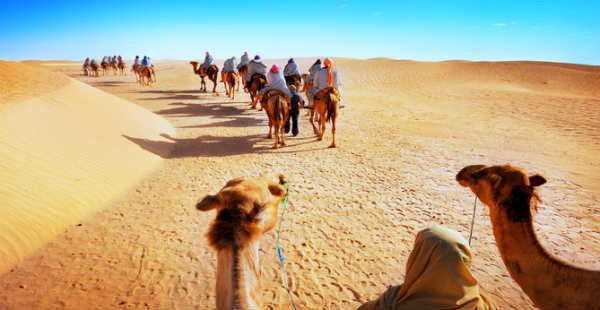 Camel-safari-packages jaisalmer