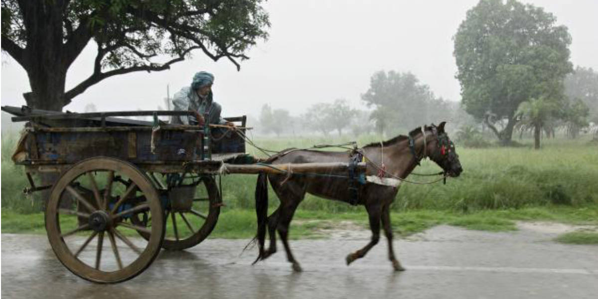 Rain begins in Lucknow, Kanpur; to reach Gorakhpur soon - Skymet Weather