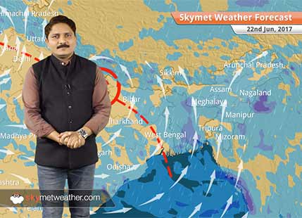 Weather Forecast for Jun 22: Good rains to continue in Punjab, Haryana, Bihar, UP