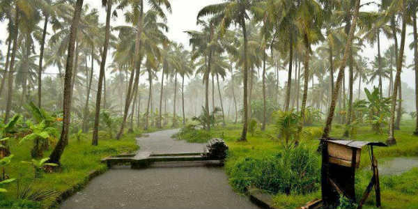 Kerala Raining Heavy rains batter Kerala, Coastal Karnataka, Monsoon to progress in 48 ...
