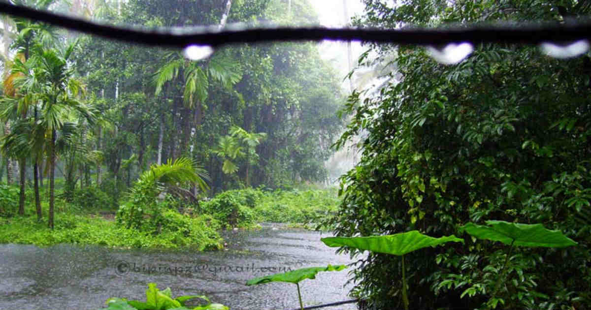Light Monsoon rains to continue over Kerala, to increase by June 19
