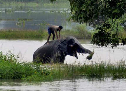 Assam Floods: Death toll increases to 34, rains to continue
