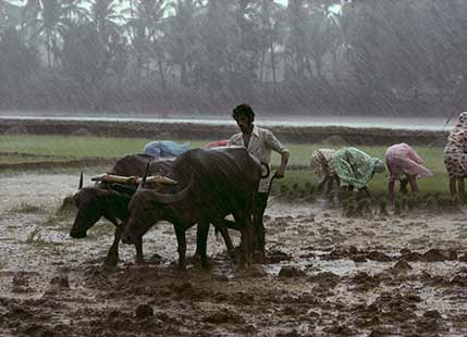 [Hindi] Monsoon rains to pick up pace in Patna, Bhagalpur, Gaya, Supaul and Kishanganj