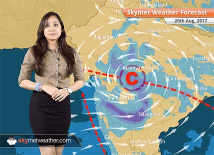 Weather Forecast for Aug 20: Rains in Delhi, Rajasthan, Uttar Pradesh, Himachal Pradesh