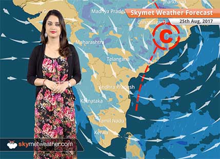 Weather Forecast for Aug 25: Rain in Mumbai, Karnataka, West Bengal, Odisha