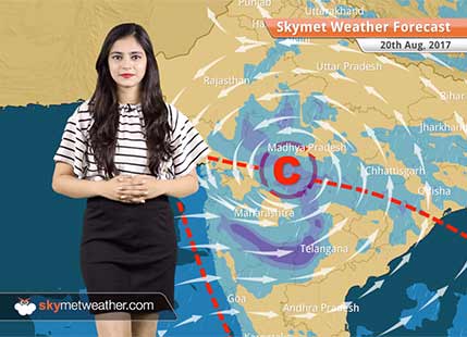 Weather Forecast for August 20: Rain is likely over Madhya Pradesh, Uttar Pradesh, Delhi, Rajasthan