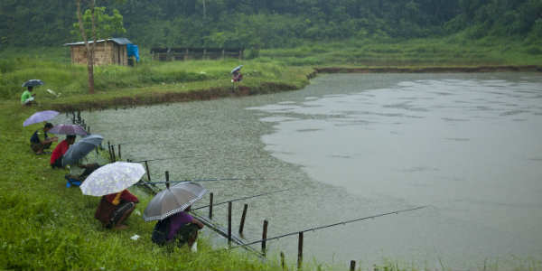 Moderate to heavy rains to continue in Assam, Meghalaya