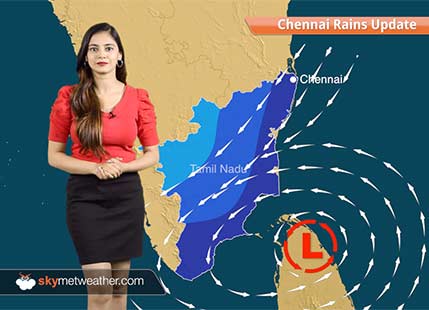 Chennai rains update Nov 2: Low pressure area forms in Bay, moderate to heavy rains in TN