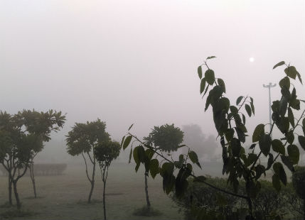 Fog in Punjab Fog in Haryana Smog in Delhi