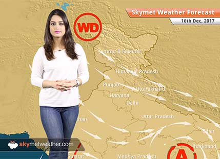 Weather Forecast for Dec 16: Fog in Punjab, Haryana, Rajasthan, UP, Delhi pollution to remain on lower side