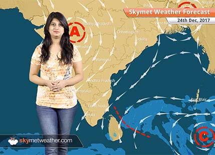 Weather Forecast for Dec 24: Rain in Andaman and Nicobar Islands, fog in Punjab, Delhi, Haryana