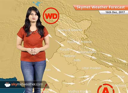 Weather Forecast for Dec 16: Chilly weather in Delhi, Punjab, Haryana, Fog in North India