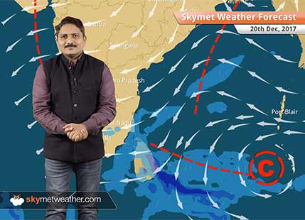 Weather Forecast for Dec 20: Temperatures to rise in Punjab, Haryana, Delhi and Rajasthan