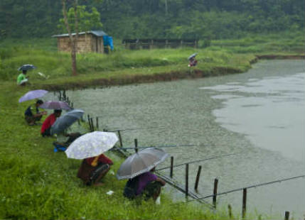 Rains to continue over Assam, Tripura, Manipur, Mizoram, Nagaland