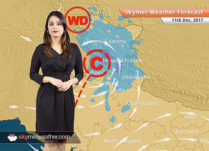 Weather Forecast for Dec 11: Rain and snow in Himachal, Kashmir; Rain in Delhi, Punjab, Rajasthan