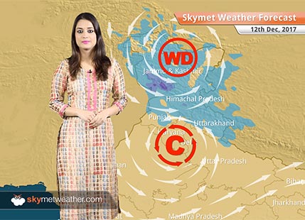 Weather Forecast for Dec 12: Delhi Pollution to improve, Rain and snow in Kashmir, Himachal