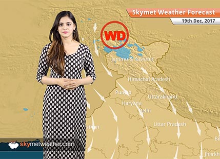 Weather Forecast for Dec 19: Light rain in Coastal Tamil Nadu, Fog in East and Northeast India