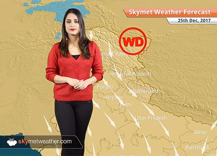 Weather Forecast for Dec 25: Fog in Delhi, Punjab, Haryana, Rain in Andaman and Nicobar Islands