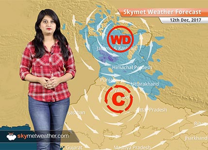 Weather Forecast for Dec 12: Rain in Delhi, Punjab, Haryana, Rajasthan, Snow in Himachal, Kashmir