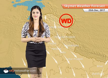 Weather Forecast for Dec 25: Fog in Punjab, Haryana, UP, Bihar, Delhi Pollution to persist