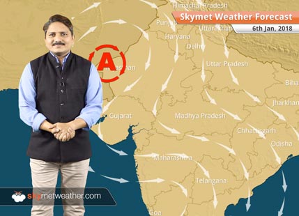 Weather Forecast for Jan 6: Cold wave in MP, Vidarbha, Fog in Punjab, Haryana, UP, Bihar
