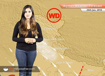 Weather Forecast for Jan 24: Fog in Punjab, Haryana, Delhi, Rain in Andaman