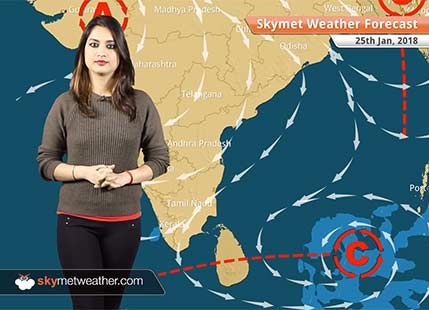 Weather Forecast for Jan 25: Fog in Delhi, Haryana, Punjab, Rajasthan, Rain in Andaman, Assam, Arunachal, Nagaland