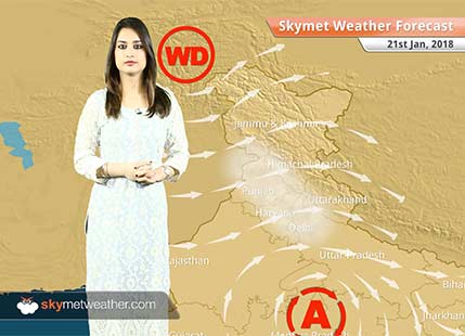 Weather Forecast for Jan 21: Dense fog in Gorakhpur, Varanasi, Patna, Cold wave in Odisha