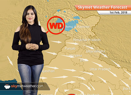 Weather Forecast for Feb 1: Fog to further reduce in UP, Bihar, Warm day in MP, Gujarat, Rajasthan