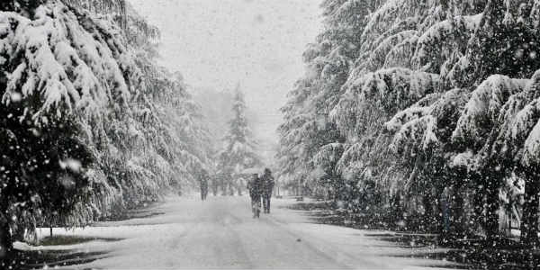 Rain and snow in Kashmir, Himachal to continue until weekend as more WDs in offing