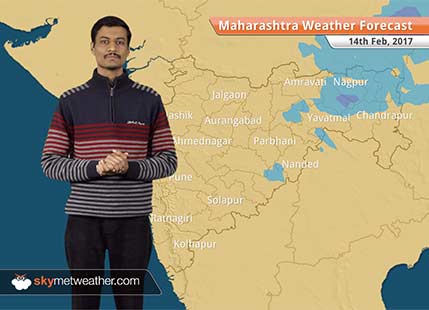 Maharashtra Weather Forecast for Feb 14: Unseasonal rains flatten crop in Vidarbha, Marathwada; dry weather to return by February 14