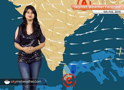 Weather Forecast for Feb 5: Fog in Punjab, Haryana, Delhi, UP, Rain in Kashmir, Himachal, Uttarakhand