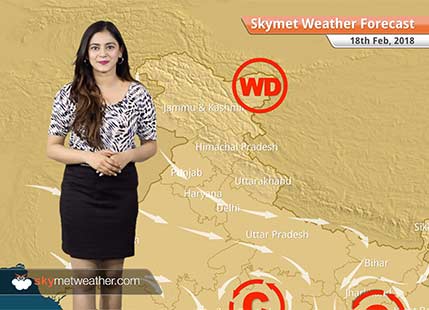 Weather Forecast for Feb 18: Weather to remain dry in Delhi, Punjab, Haryana, Rajasthan, Uttar Pradesh