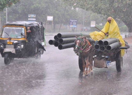 Rain in Punjab, haryana, rajasthan