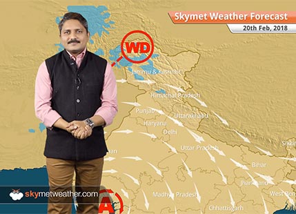 Weather Forecast for Feb 20: Rain and snow in Kashmir, Himachal; Dry weather in Northwest India