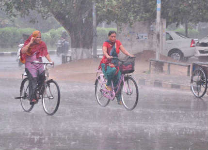 Punjab haryana rain