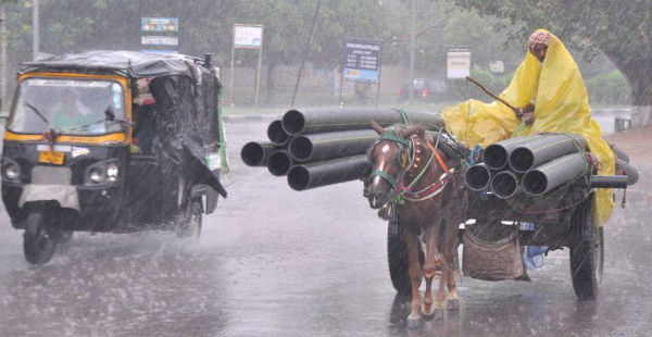 Rain in Punjab and Haryana