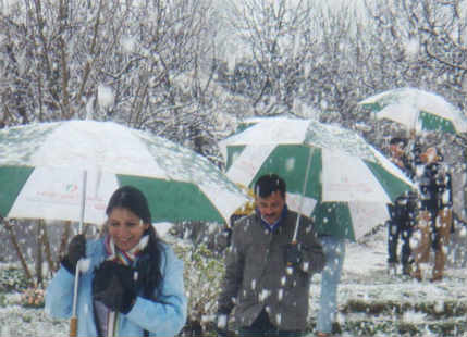 Snowfall-shimla