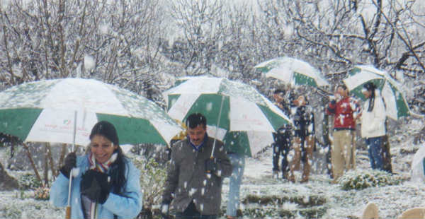 Snowfall-shimla
