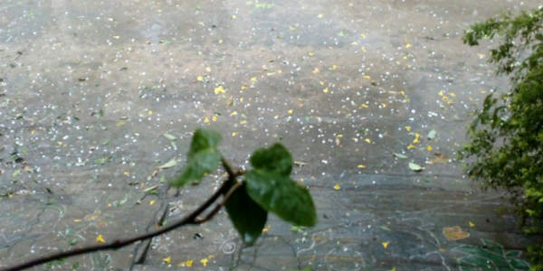 Rain, hailstorm lash Hyderabad; more rains expected