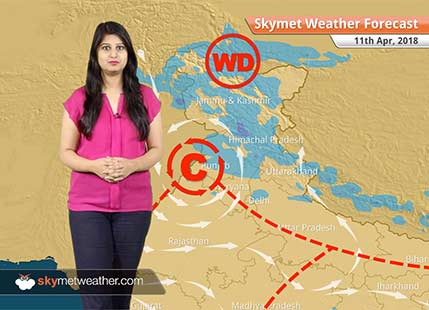 Weather Forecast for Apr 11: Rain in Delhi, Kerala, Tamil Nadu, Karnataka