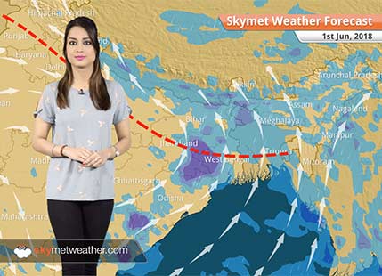 Weather Forecast for Jun 1: Monsoon to reach Northeast India, rain in Karnataka, Kerala, Telangana