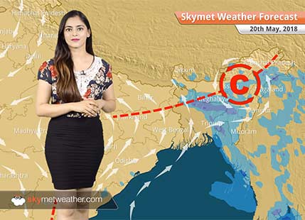Weather Forecast for May 20: Temperatures to rise across Northwest plains including Delhi, severe heatwave in parts of Vidarbha