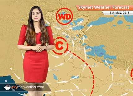 Weather Forecast for May 8: Rain in Delhi, Amritsar, Hisar, Agra, Meerut, Aligarh