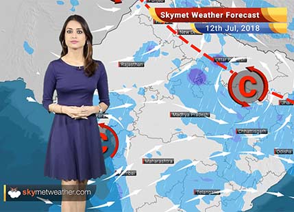 Weather Forecast for July 12: Heavy rain in MP to trigger flooding; Mumbai rains to continue